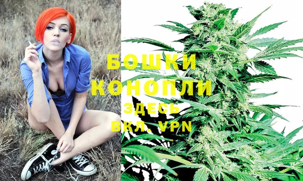 ГАЛЛЮЦИНОГЕННЫЕ ГРИБЫ Кулебаки